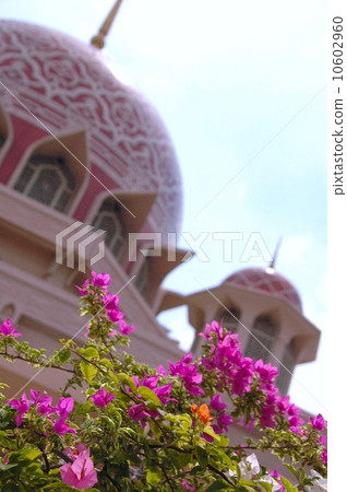 Malaysia Pink Mosque Malaysia Pink Mosque 10602960