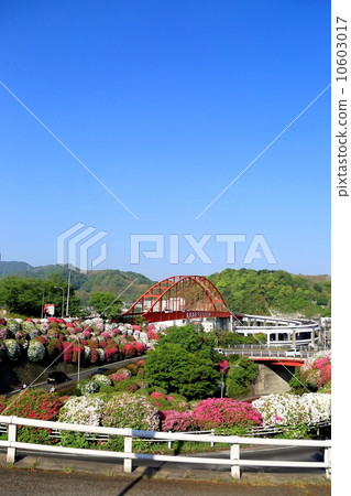 Otodo Ohashi 10603017