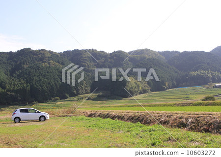 Visiting the countryside by rental car 10603272