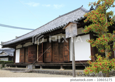 Namikoji Namikoji 10603275