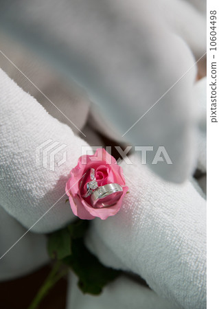 Wedding rings Wedding rings 10604498