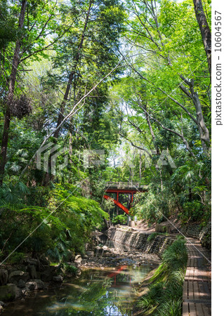 Yeosimpia Valley and Golf Bridge 10604567