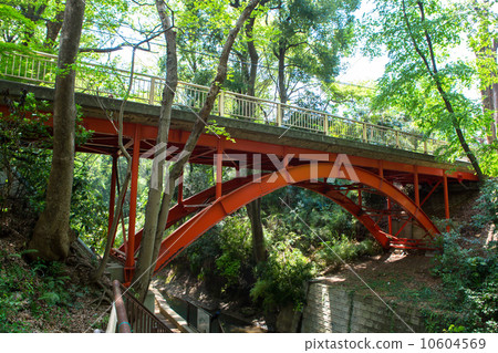 Golf Bridge in Yeozumi Valley 10604569