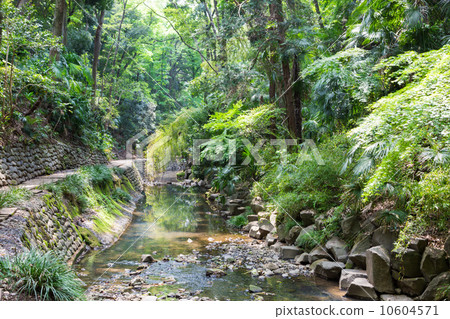  Todoroki Valley 10604571