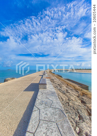 The blue sea and the sky and the way of the embankment 10605444