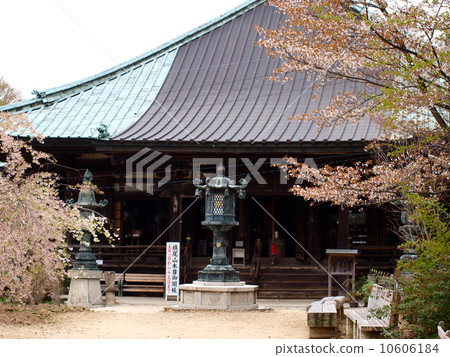 Fukukeraji 10606184