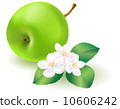 Green apple with leaf and flowers 10606242