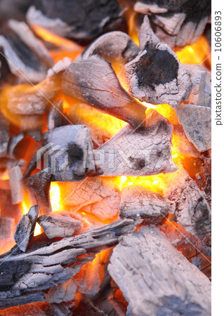 Decaying red coals of a tree in a fire 10606893