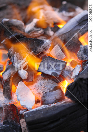 Decaying red coals of a tree in a fire 10606898