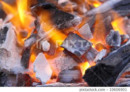 Decaying red coals of a tree in a fire Decaying red coals of a tree in a fire 10606901