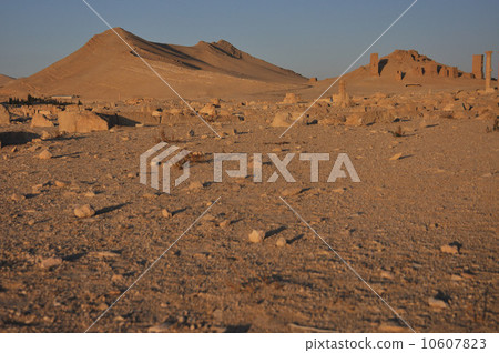 Palmyra and desert Palmyra and desert 10607823