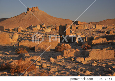 Fakhr-al-Din al-Maani Castle 10607834