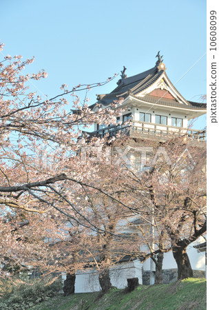 Kubota castle 10608099