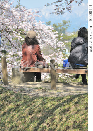 Kubota castle 10608101