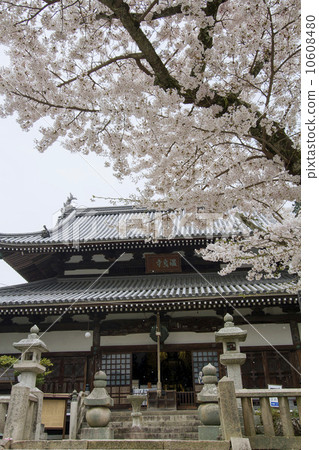 有馬溫泉Arimayama溫泉禪寺 有馬溫泉Arimayama溫泉禪寺 10608480