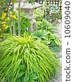 Japanese style garden with hanging crow 10609040
