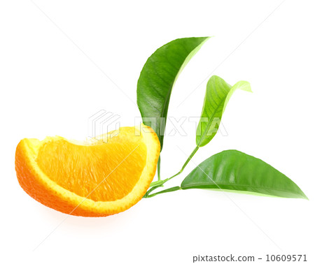 Part of orange and branch with green leaf 10609571