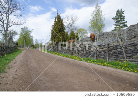 Along an old fashioned road 10609680