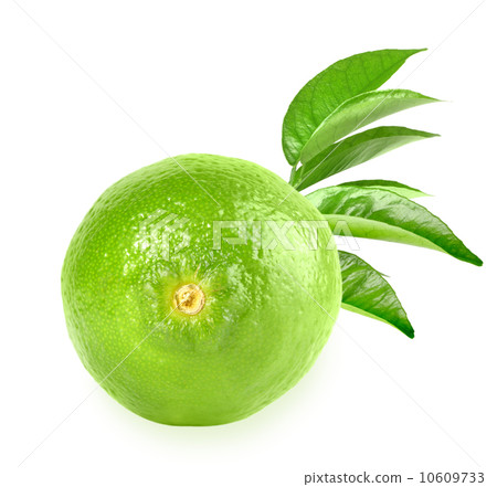 Full fresh lime and a branch Full fresh lime and a branch 10609733