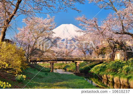 忍野村的春天 10610237