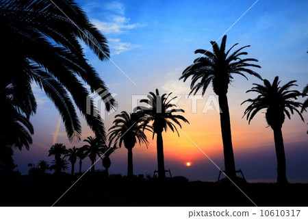 日南海岸的日出 日南海岸的日出 10610317