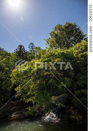 Fujiwood of consistent field Fujiwood of consistent field 10610555