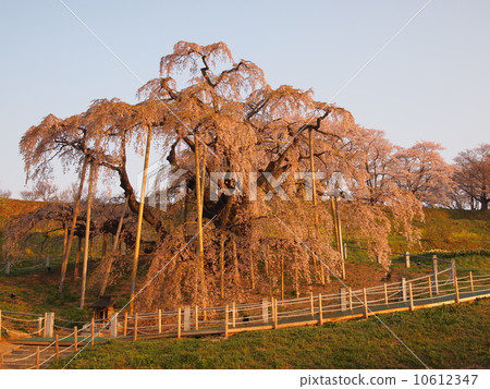 Morning café of cascading waterfall 10612347