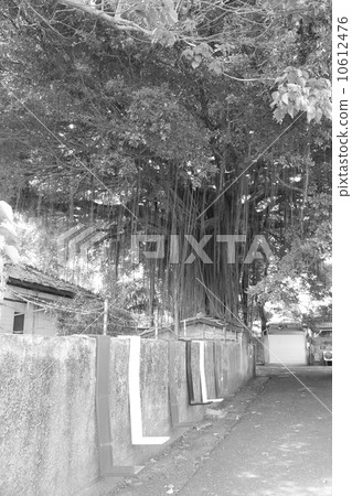 Park road 321 street Park road 321 street 10612476