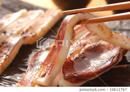 Squid squid Squid squid 10612767