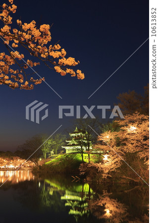 高田公園Tinmaki在夜櫻桃樹 10613852