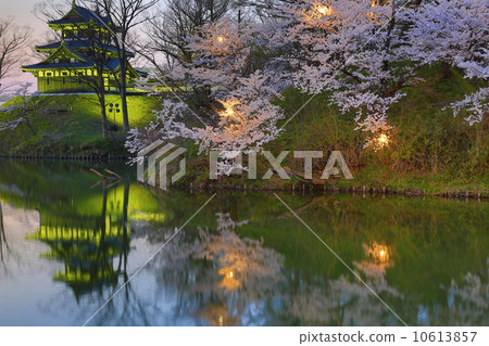 Takada Park Tinmaki at night cherry tree Takada Park Tinmaki at night cherry tree 10613857