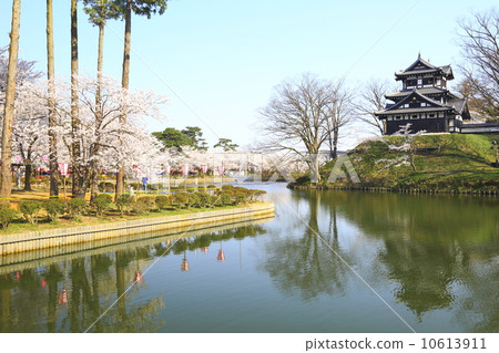 Takada castle and cherry blossoms 10613911