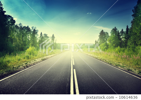 road in deep forest 10614636