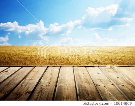 wooden floor and summer wheat field 10614969