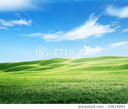 field of grass and perfect sky field of grass and perfect sky 10614993