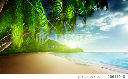 sunset on beach Anse Takamaka of Mahe island, seychelles 10615048