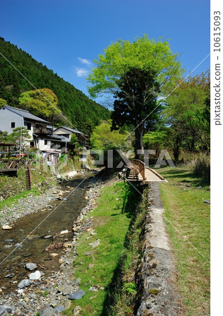 Raku Kitakyushu春天風景 10615093