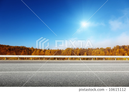 road in autumn forest 10615112