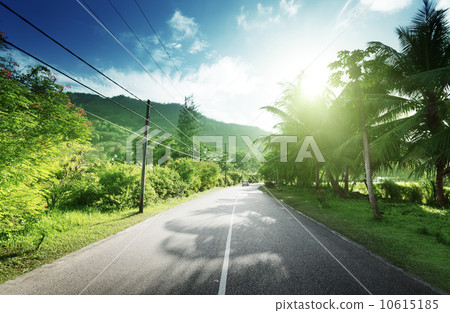 empty road in jungle of Seychelles islands empty road in jungle of Seychelles islands 10615185