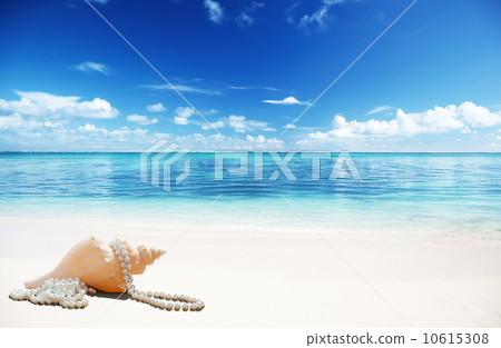 sea shells and perls on the beach sea shells and perls on the beach 10615308