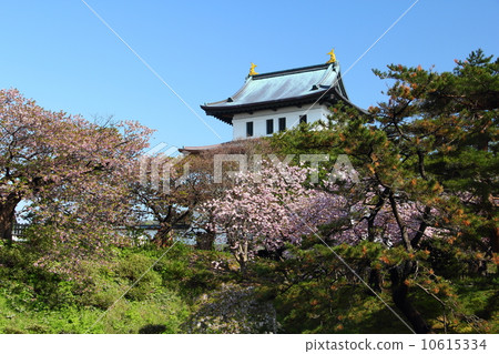Matsumae castle 10615334