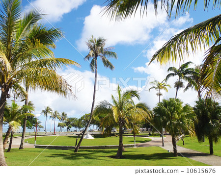 It is a comfortable wind square where you can do loose shopping It is a comfortable wind square where you can do loose shopping 10615676