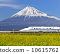Shinkansen running along rape field 10615762