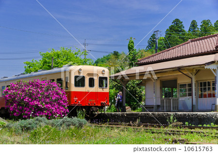 Kominato railroad in the early summer - Uezumi tombrami station where azaleas bloom 10615763