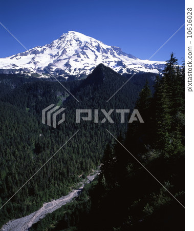 雷尼爾山 10616028