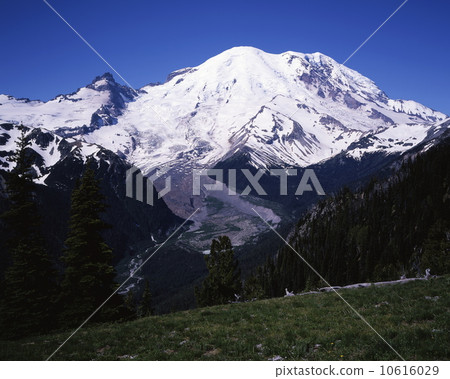 雷尼爾山 10616029