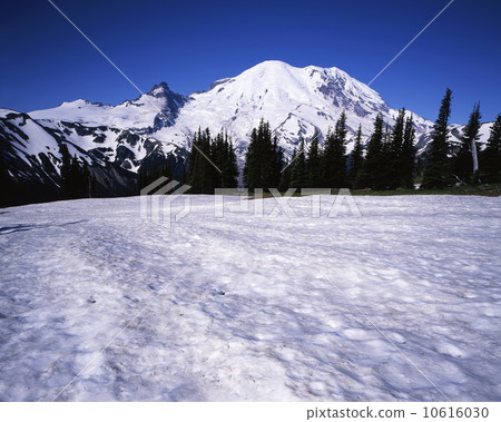 雷尼爾山 10616030