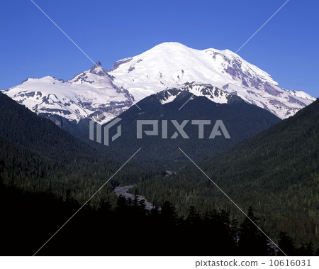 Mount Rainier 10616031