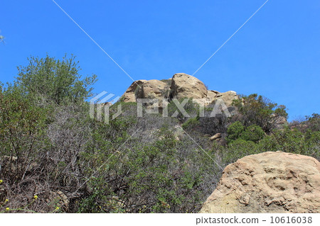 查茨沃斯公園 10616038