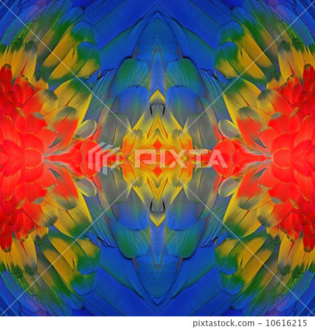 Scarlet Macaw feathers Scarlet Macaw feathers 10616215